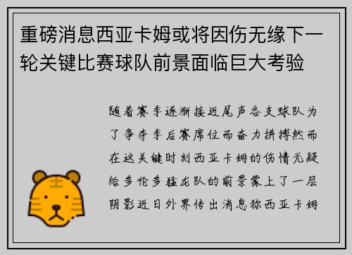 重磅消息西亚卡姆或将因伤无缘下一轮关键比赛球队前景面临巨大考验
